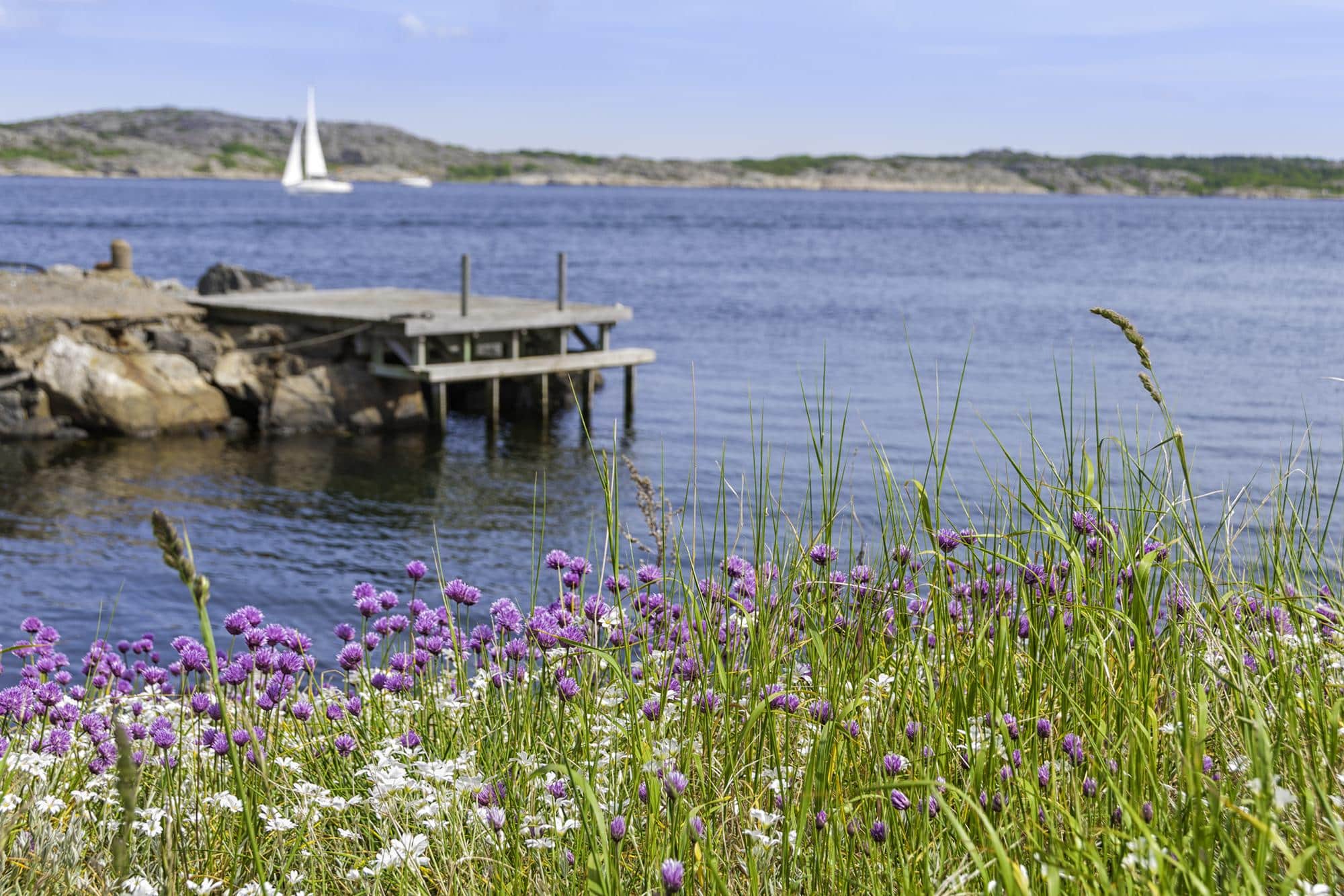 Yhteistyössä kohti kestävämpää matkailua