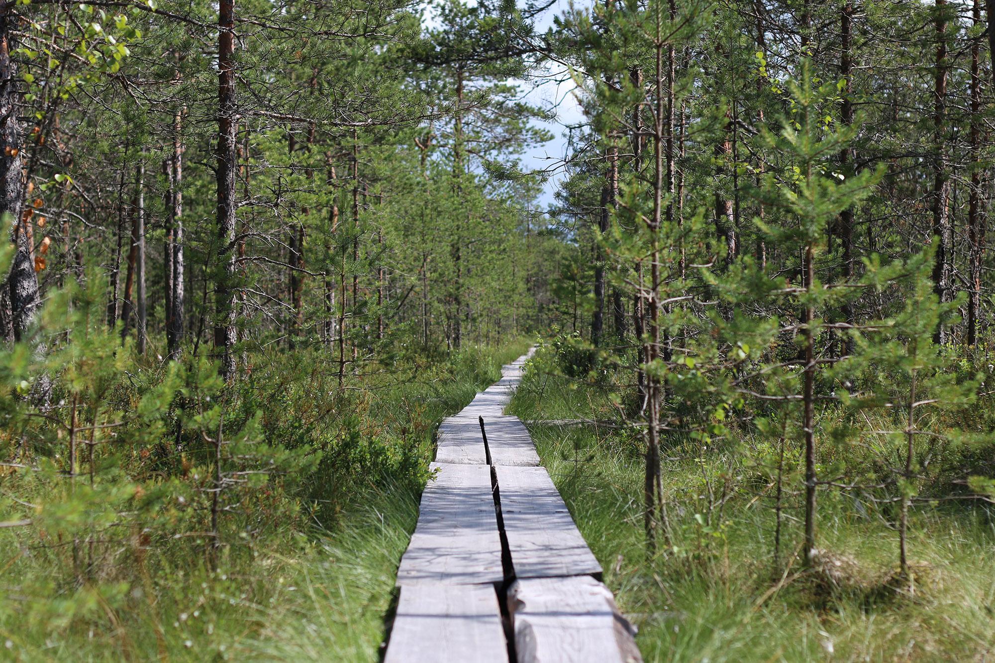 Varsinais-Suomen retkeilykohteet ja -reitit kootaan mobiilisovellukseksi – nyt kartoitetaan mm. palveluntarjoajien toiveita