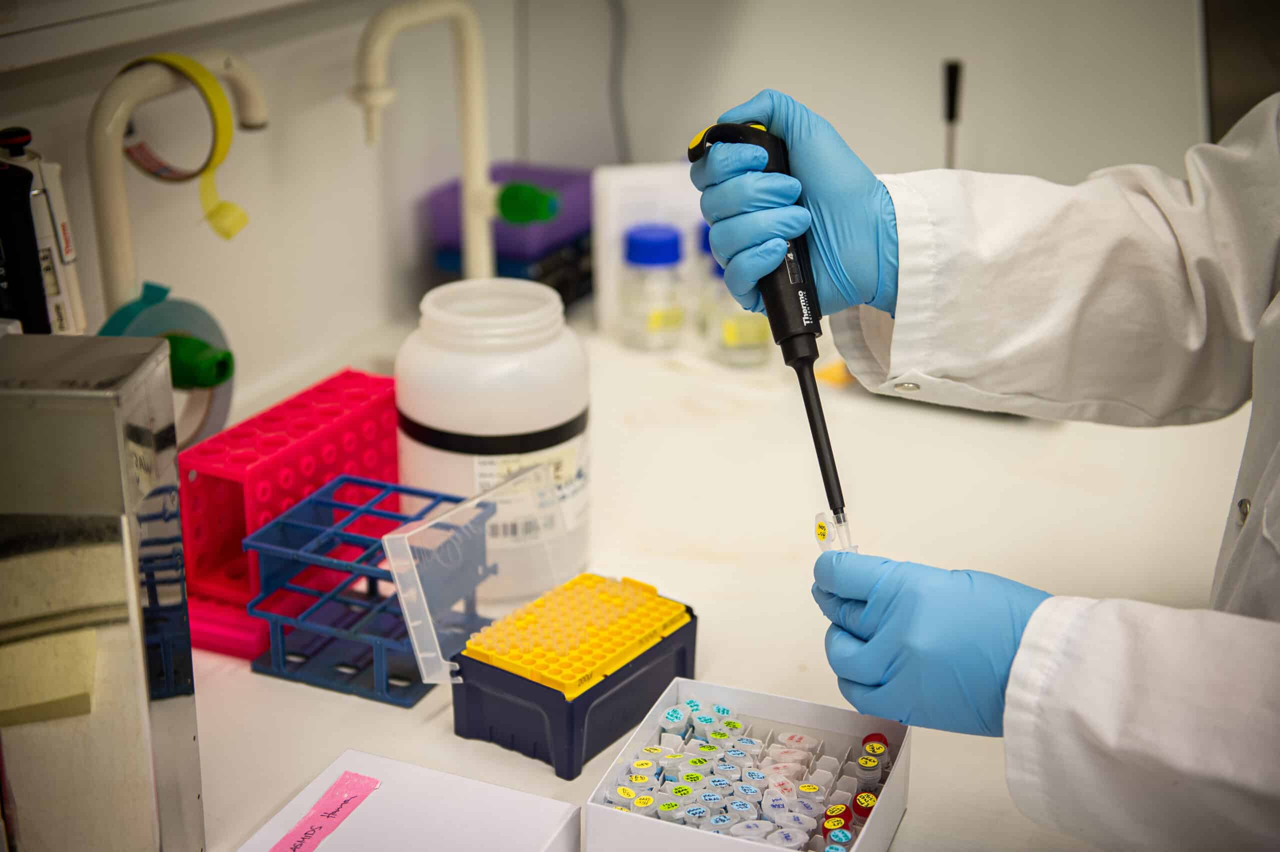 äsi, jossa on sininen kumihanska, on asettamassa näytettä tutkimuslaitteeseen Turun Biotiedekeskuksen laboratoriossa. Taustalla liuospullo ja pipettejä, etualalla tutkimusnäytteitä.