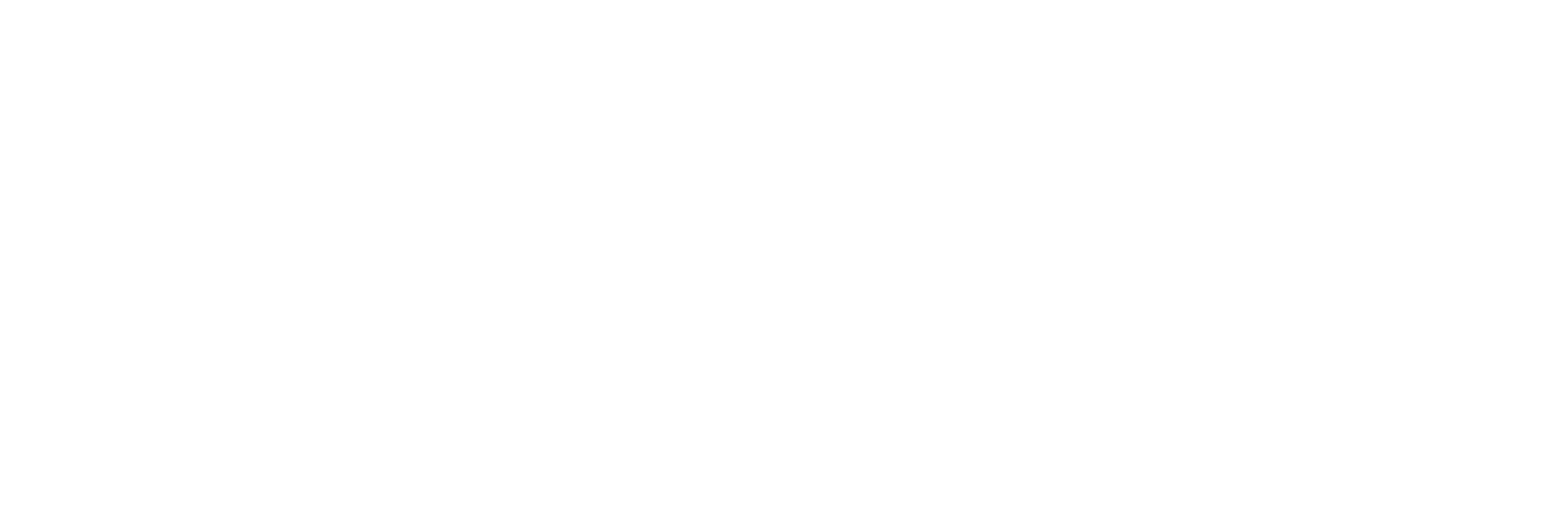Business Turku
