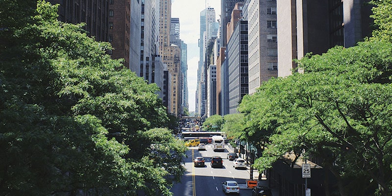 New York: Built Environment in the Spotlight