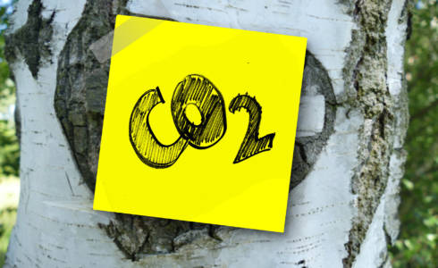 Keltainen muistilappu kiinnitettynä koivupuun runkoon. Lapussa teksti CO2.