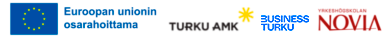 Hankkeen logot: Euroopan unionin osarahoittama, Turku AMK, Business Turku, Novia